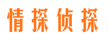 宁德市侦探调查公司